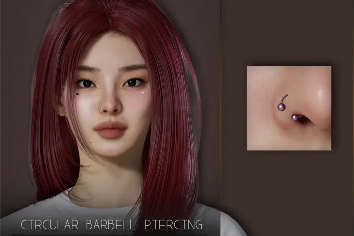 Circular Barbell Piercing