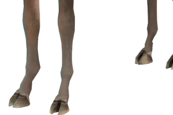 Cloven Hoofed