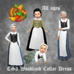S3 Woodland Collar Dress