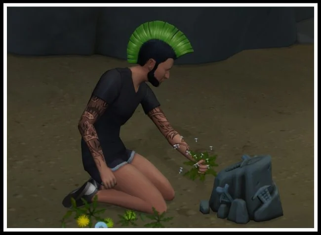 Collectibles (Rock Digging) Rework (Slower/Harder)