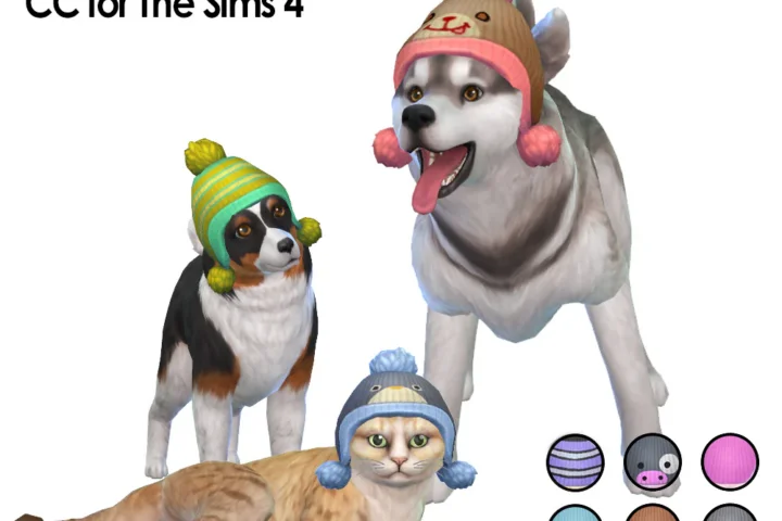 Colorful Hats