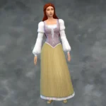 TSM Commoner Corset Dress No Apron