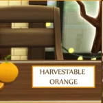 Harvestable Orange