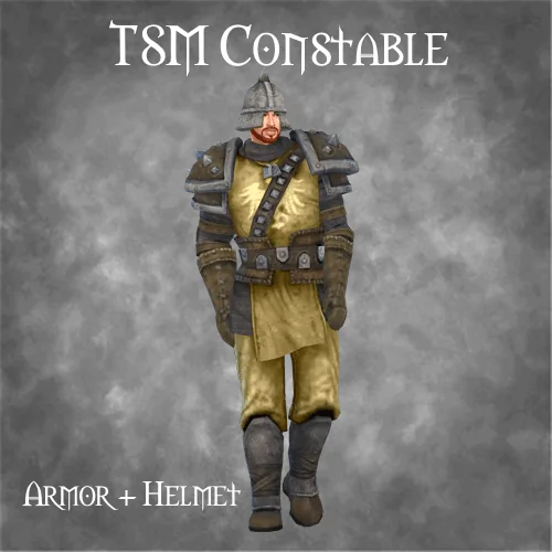 TSM Constable Armor + Helmet