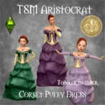 TSM Aristocrat Corset Puffy Dress