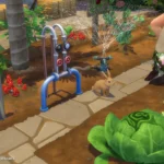 Home Improvements CC Pack