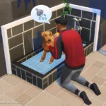 Small Spaces: Laundry Room CC Pack