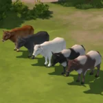 Deco Animals for your world