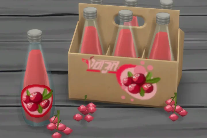 Cranberry Fizzy Juice