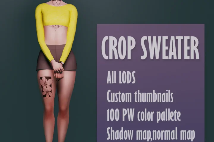 Crop SWEATER