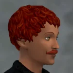 TSM Curly Bowl Hair for All Ages