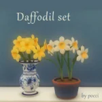Daffodil set by pocci