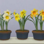 Daffodil set by pocci