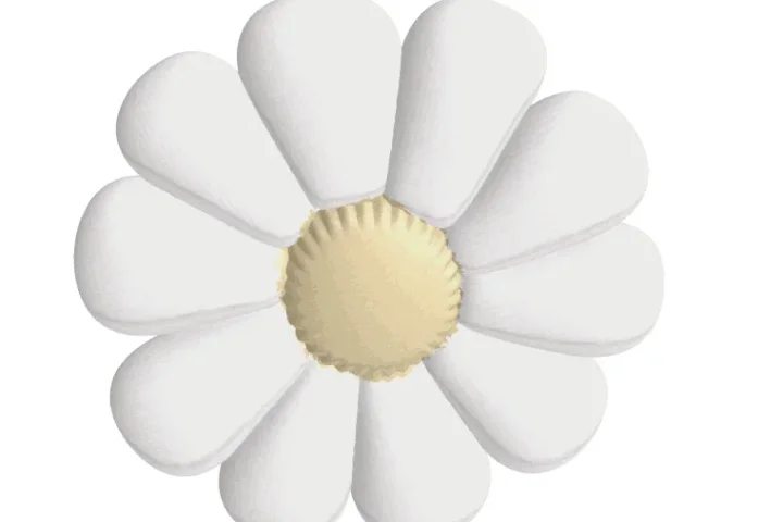 Daisy love set