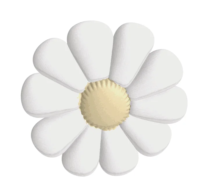 Daisy love set