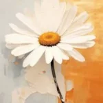 Daisy flowers paintings