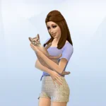 New Pre-Made Sims