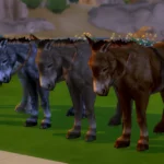 Dapple the Donkey - instead of a bike