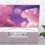 Barbie pink TV set