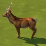 Deco Animals for your world