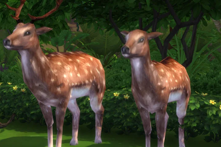 Tomarang Decorative Animals