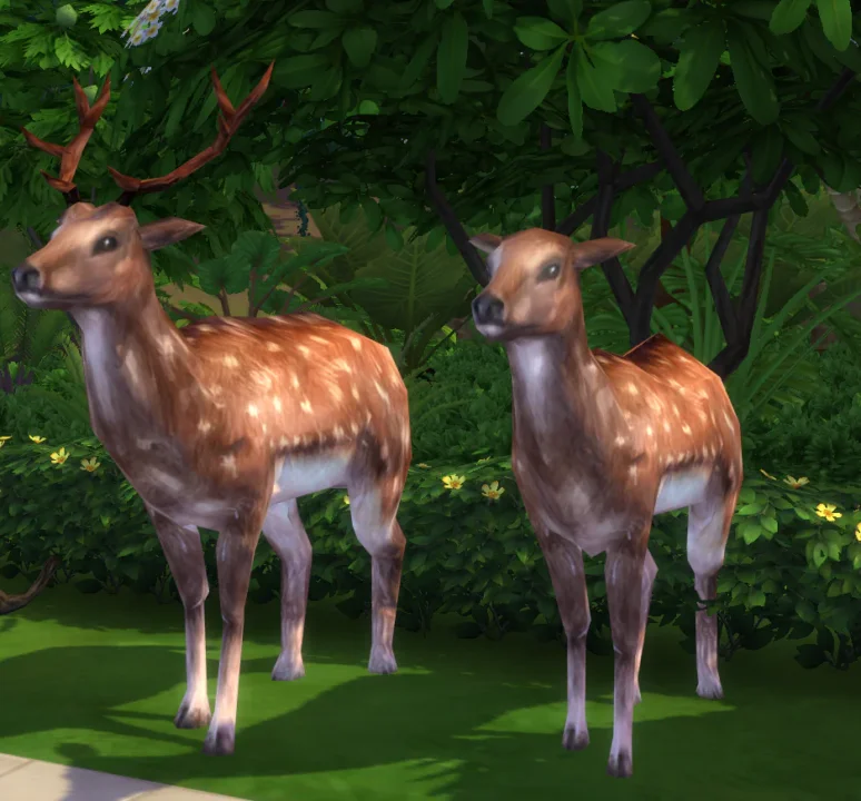 Tomarang Decorative Animals
