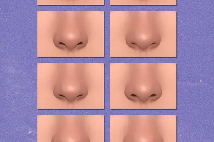 Nose presets 31-40