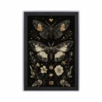 Witchy Collection