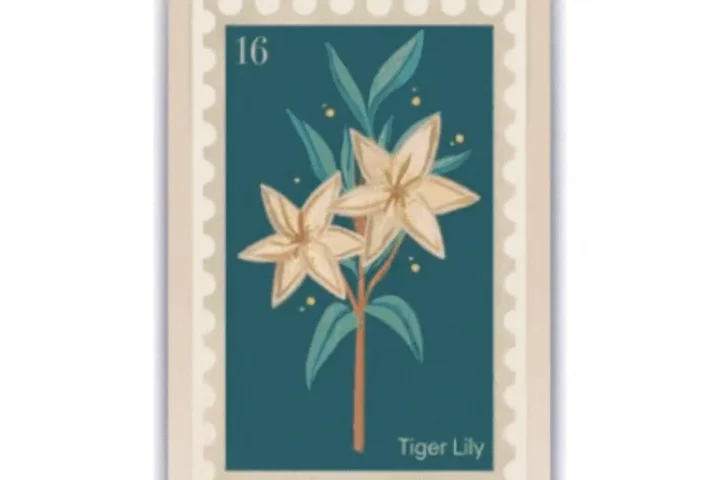 Stamp framed posters