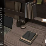 Diane office set (2021)