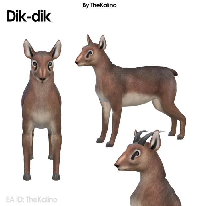 Dik-dik Dog