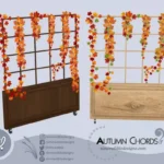 Autumn Chords - Decor 🏵️🍁