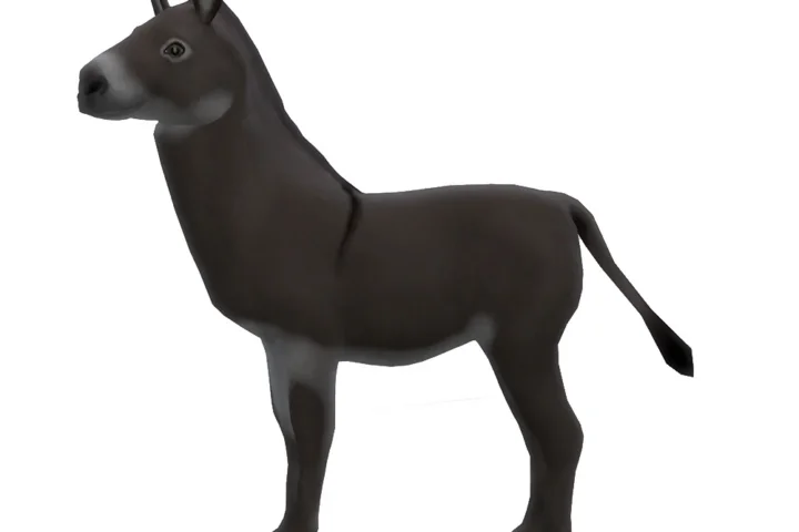 Donkey for the Animal Shed