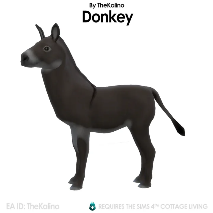 Donkey for the Animal Shed