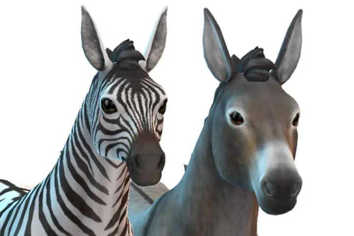 Donkey Ears