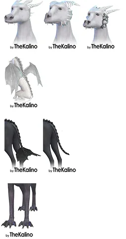 Dragons Packages (Large Dogs)
