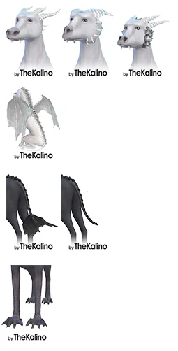 Dragons Packages (Large Dogs)