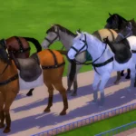 Default Replacement Horse for Discover University Bicycle