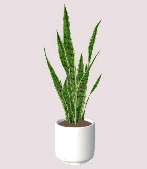 Eartha minimal plants - set