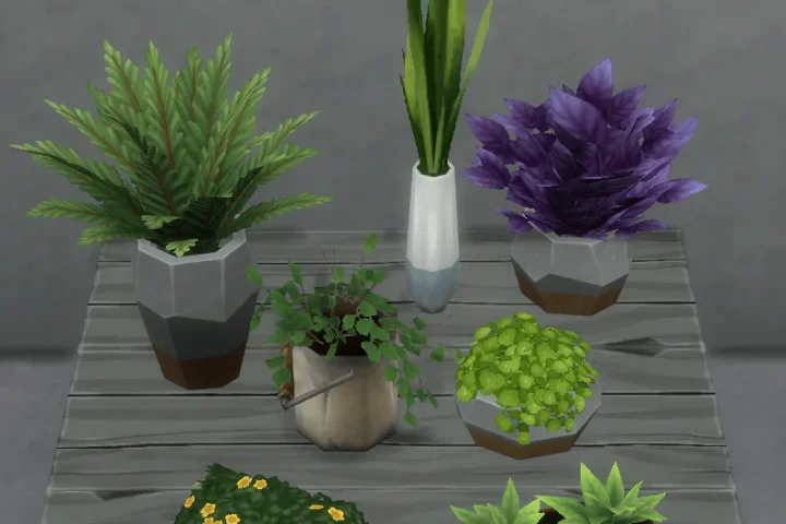 Eco Lifestyle Large Plants