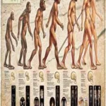 Educationnal Posters Part 1