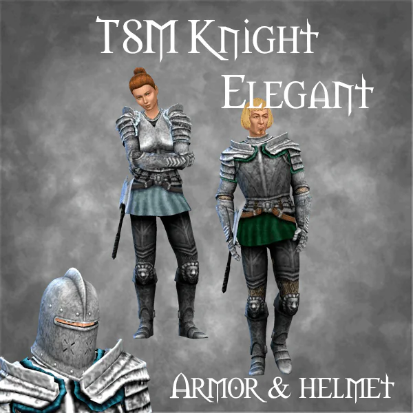 TSM Elegant Armor