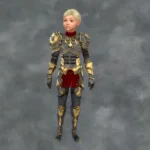 TSM Evil Knight Armor for Toddlers to Adults
