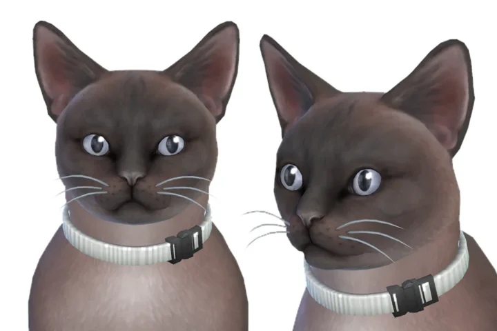 Fabric Collar Without Bell