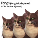 Fangs for Pets