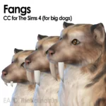 Fangs for Pets