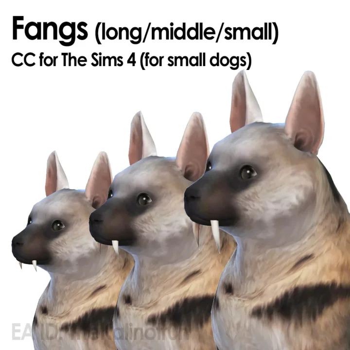 Fangs for Pets