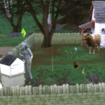 Better Farm Animals (Out in Rain)