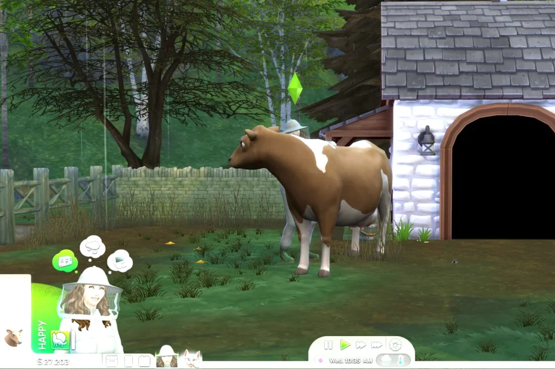 Better Farm Animals (Out in Rain)