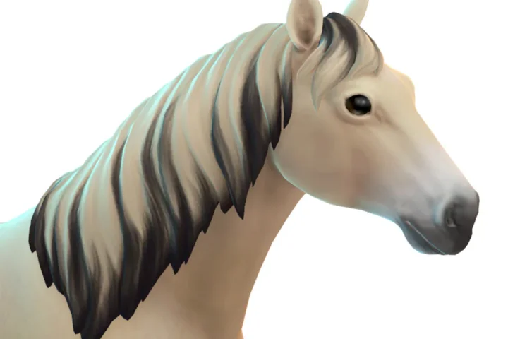 Fjord Mane Long